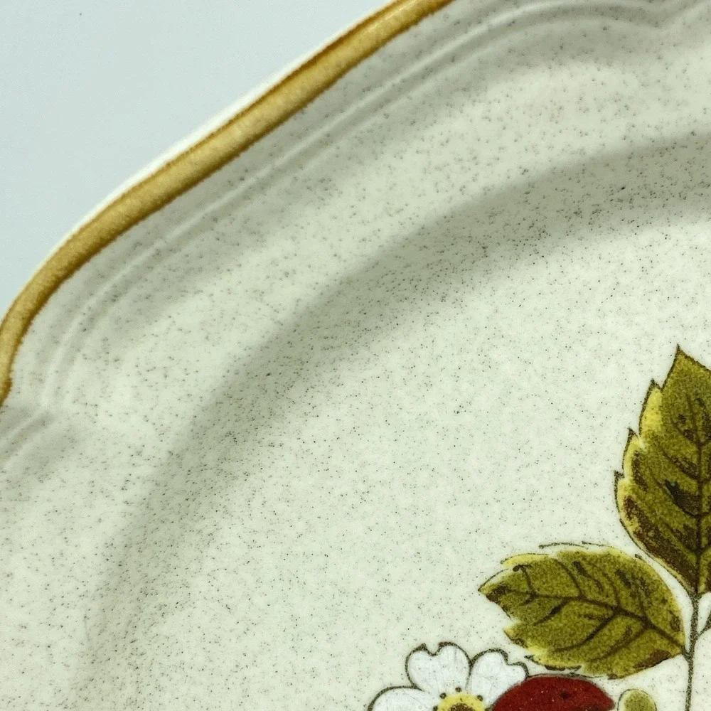 Mikasa Strawberry Festival Dinner Plate EB 801 10.75